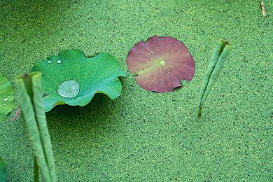 《破晓传说》DLC超越黎明实机视频展示新角色